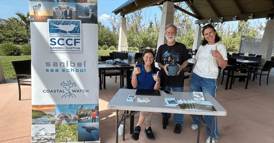 UPDATE Coastal Watch to hold mangrove adoption event News, Sports